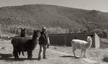 Load image into Gallery viewer, Brown &amp; White Perdiz Wool Blanket
